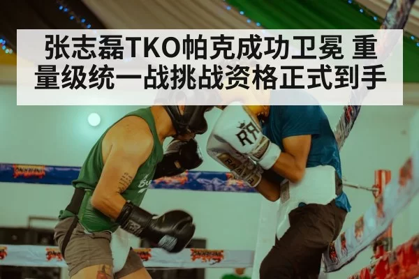 Zhang Zhilei boxing